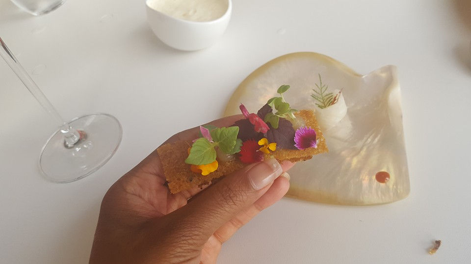 14142068_10208646366091071_2218604734266806264_n