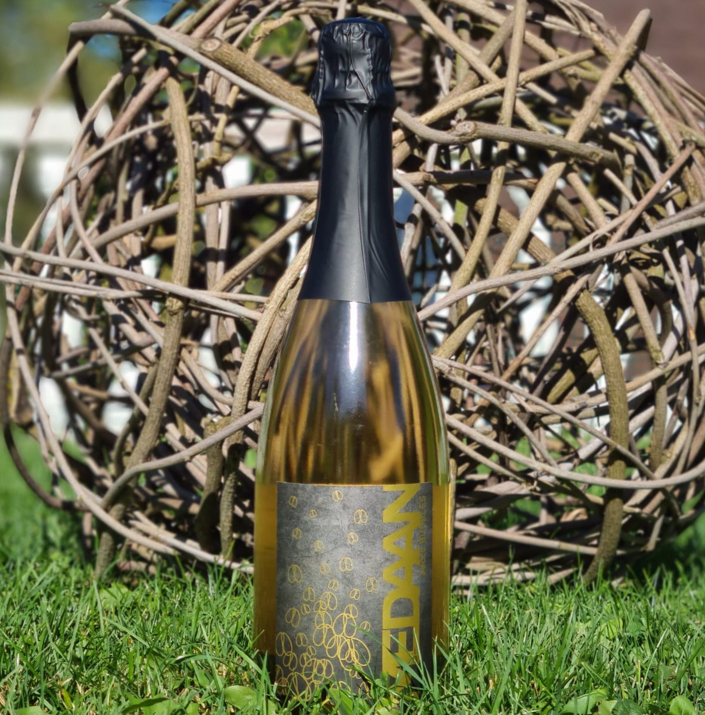 MEDAAN secco BUBBLES -2021-