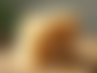 Why Handmade Soap Is a Healthier Choice for Your Skin