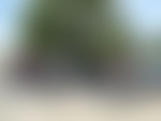 Zomerwandeling Winksele-Delle