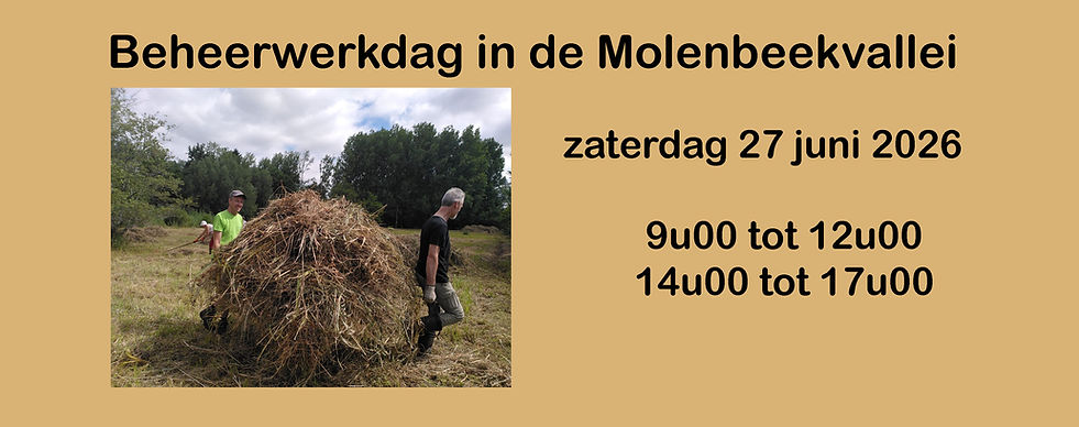 web zomerwerkdag.jpg