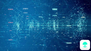 EdTech Platform Sites