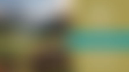 Happy Indigenous Peoples Day!