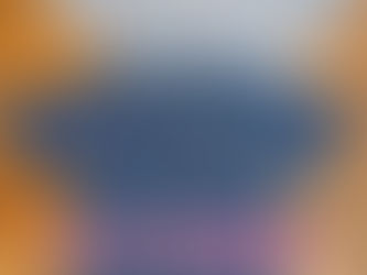 ✨先行予約商品2✨