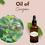 Thumbnail: Oil of Oregano - Tincture 
