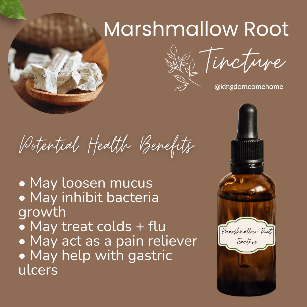 Marshmallow Root Tincture