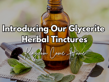 Introducing Our New Glycerite Herbal Tinctures – Safe, Gentle, and Purposefully Made