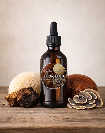 Four Fold Fungi Mushroom Blend Tincture