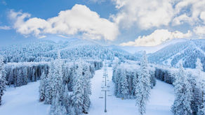 Powder Spotlights Arizona Snowbowl’s $1 Million Investment Ahead of the 2026-27 Ski Season