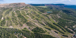 Ski Utah Highlights Brian Head Resort as a Dog-Friendly Mountain Getaway