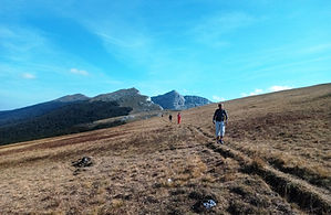 Vercors en marche nordique.jpg