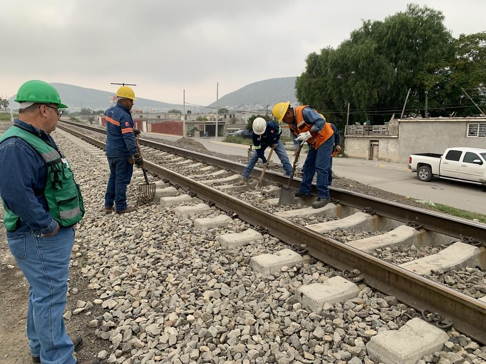 Urban Home with Plants