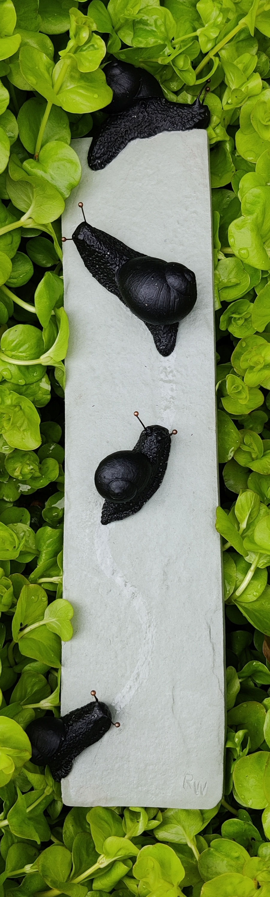 Thumbnail: Snail Trail Tile