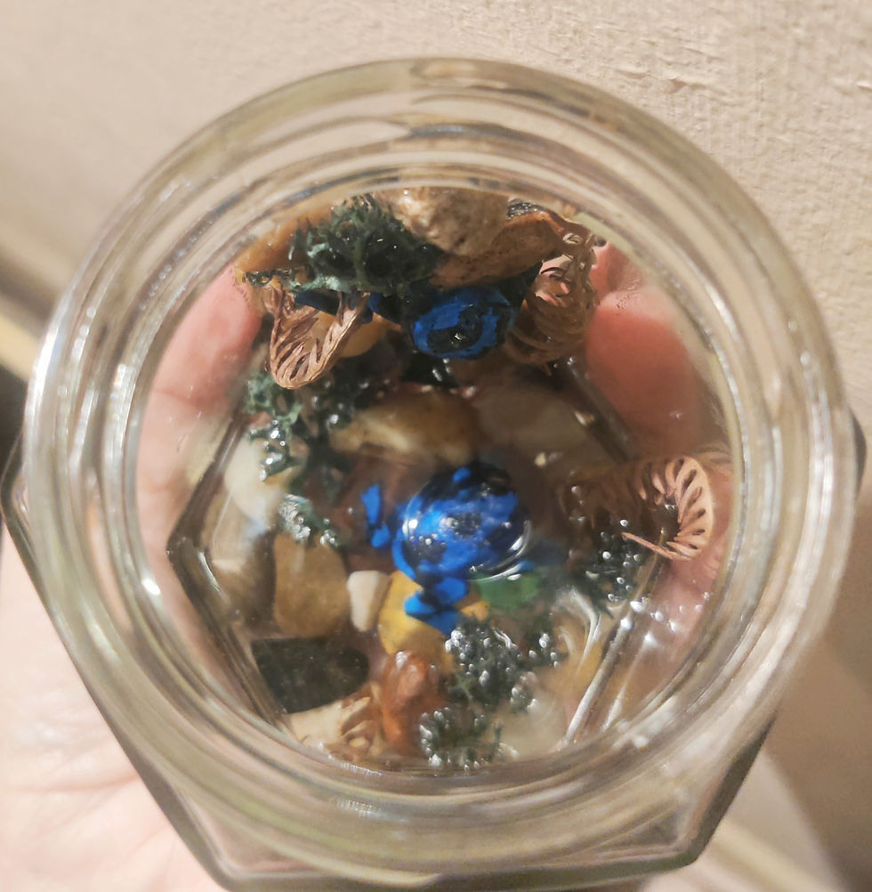 Thumbnail: Tree frogs in labelled jars.