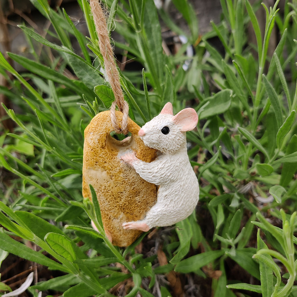 Thumbnail: Hag Stone Mice