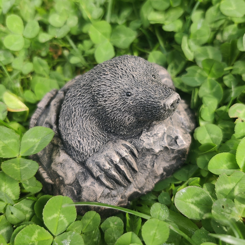 Thumbnail: Mole 