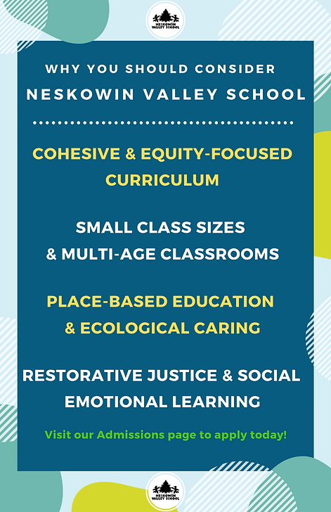 Why NVS Condensed (1).png