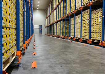 packhouse.jpg