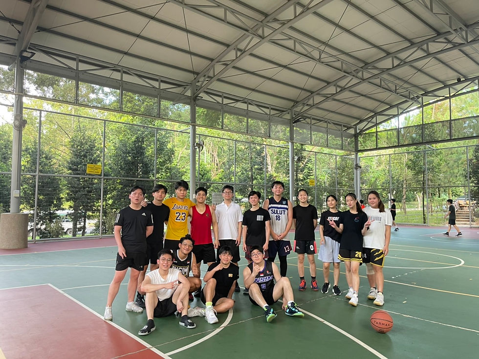 InSIM Basketball
