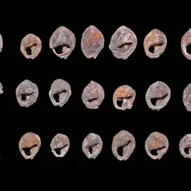 The Origins of Jewelry: Adornment, Identity, and Meaning