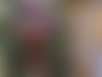 居酒屋あれい、いよいよオープンです！