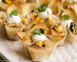 Southwest Chicken Wonton