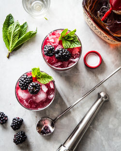 Blackberry Mint Julep