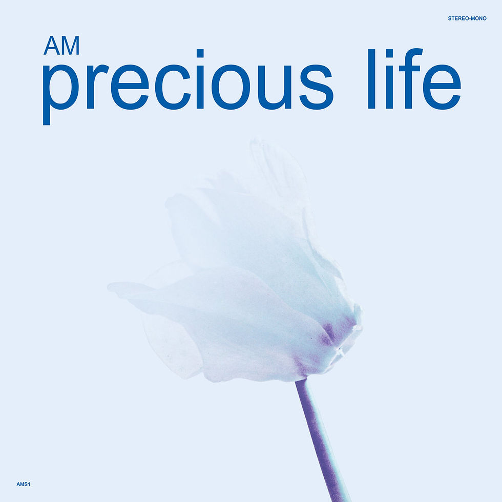 [2016] AM 'Precious Life' (Am Sounds)