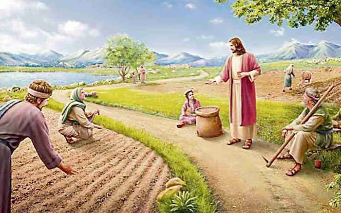 DOMINGO 12 DE JULIO             REFLEXIÓN EVANGÉLICA