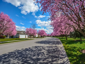 The Importance of a Spring Check Up