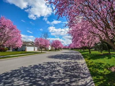 The Importance of a Spring Check Up