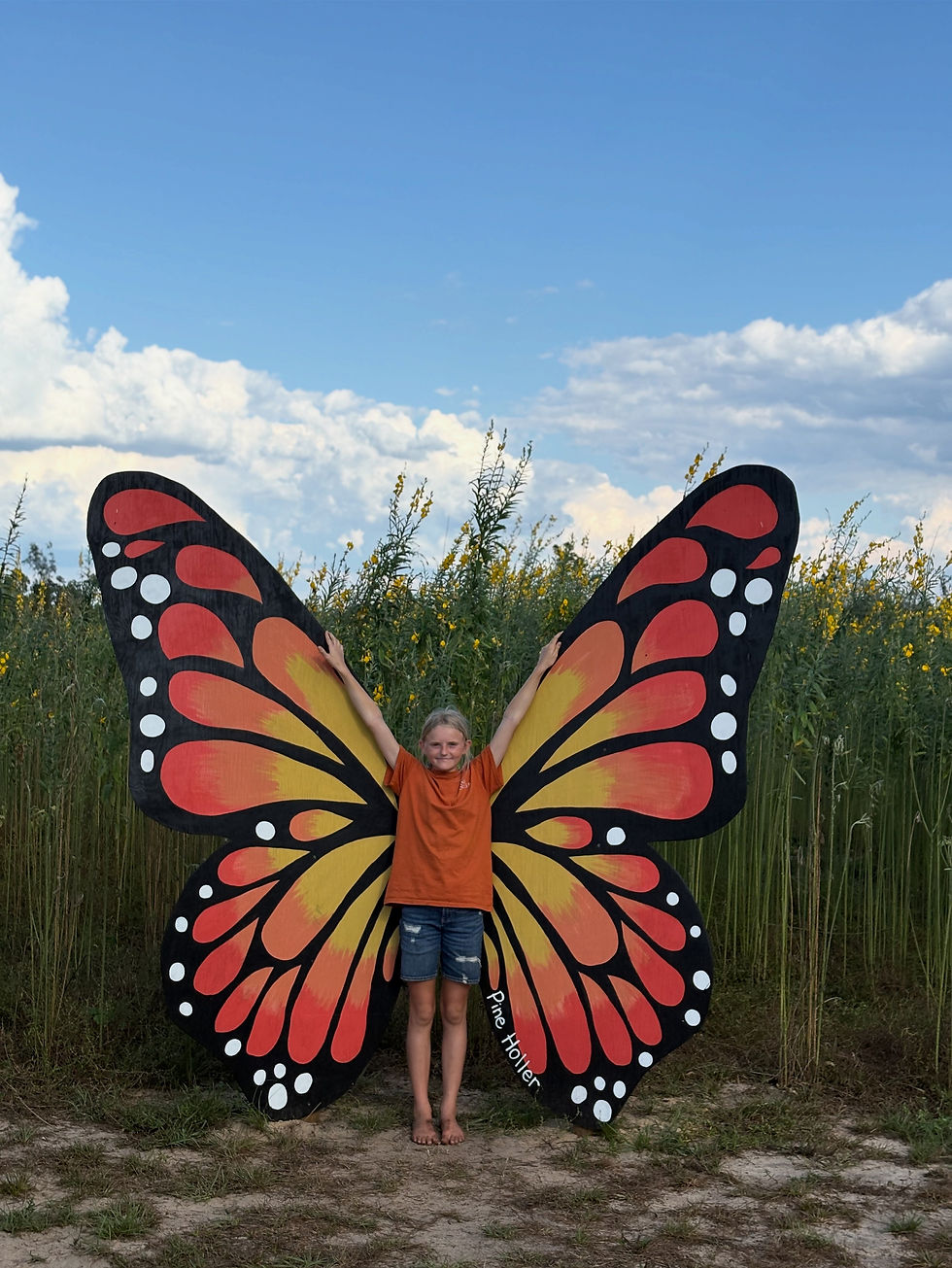 10/12 Fall Festival 10-5pm