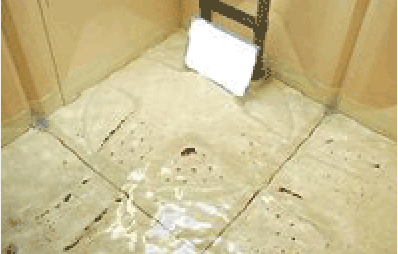 貯水槽清掃前