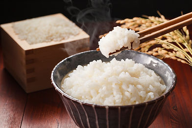 炊き立てご飯