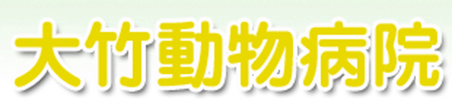 大竹動物病院