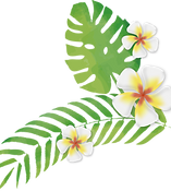 白い花