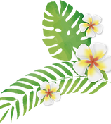 白い花