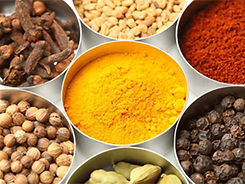 詳細は公式ホームページをご覧ください