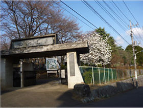 山門と早春を告げる白木蓮