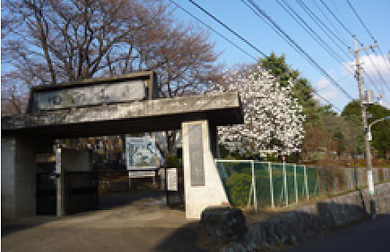 山門と早春を告げる白木蓮