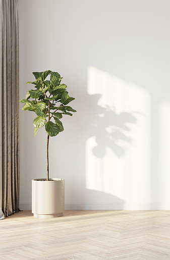 観葉植物のある部屋