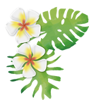 白い花