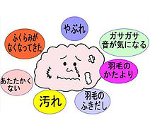 直せる・作れる・洗えるふとん屋