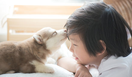 男の子と子犬