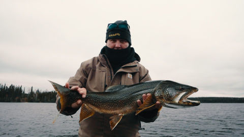 Sequence 03.07_21_46_19.Still003.jpg