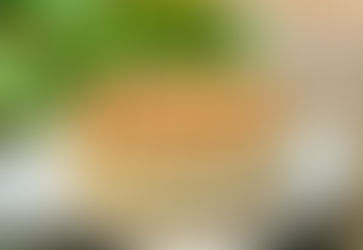 Mascarpone Cheesecake