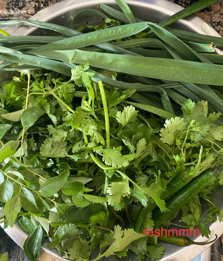 Cilantro Chutney