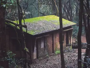Matheran - The Winter Wonderland