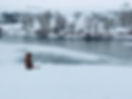 Fisher overlooking the Teton