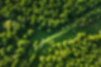 belarus-aerial-view-of-green-small-bog-marsh-swam-2025-02-25-01-42-37-utc.jpg